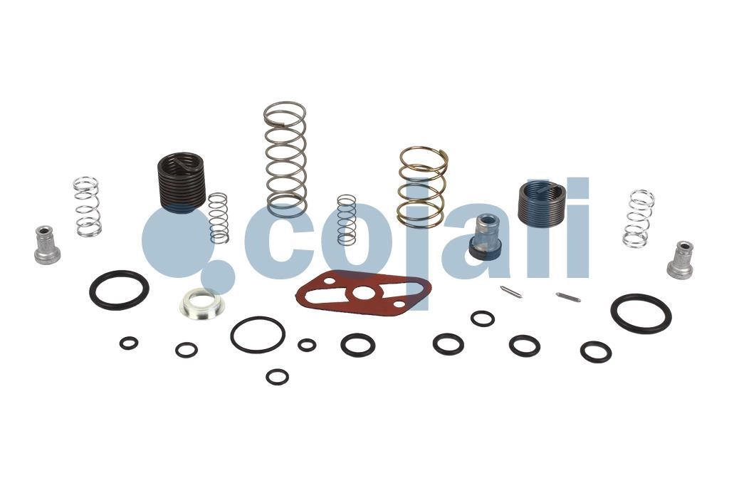 VALVE REPAIR KIT, 6012154, 9617220042