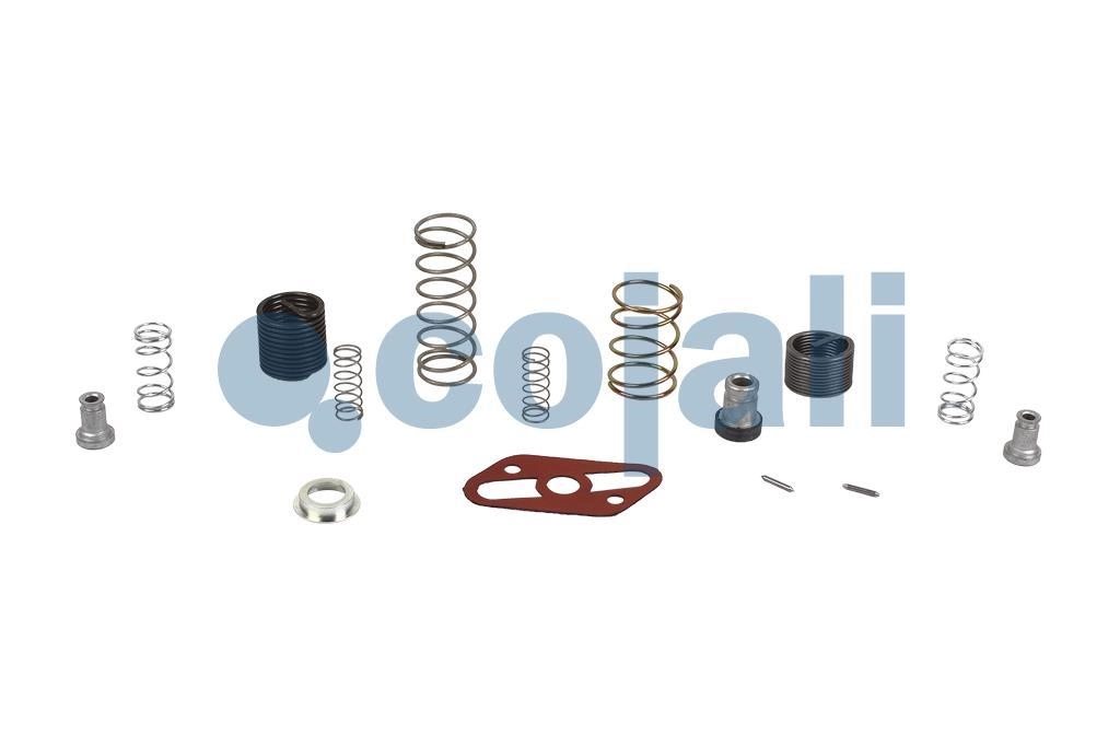 VALVE REPAIR KIT, 6012154, 9617220042