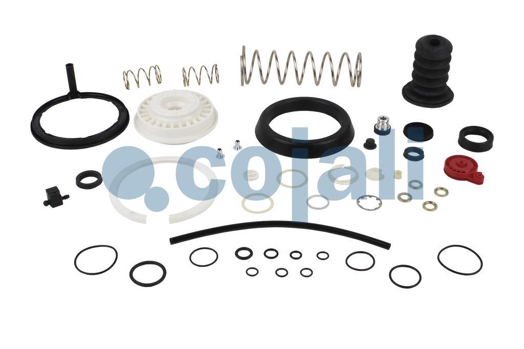 CLUTCH SERVO REPAIR KIT, 6012158, 9700519062