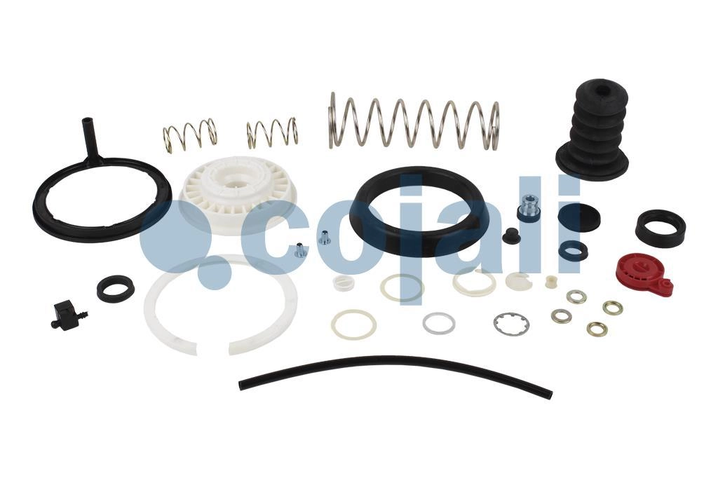 CLUTCH SERVO REPAIR KIT, 6012158, 9700519062