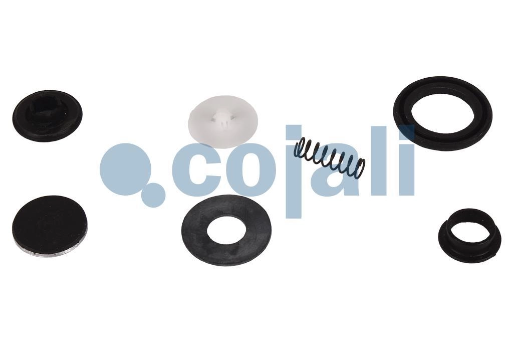 VALVE REPAIR KIT, 6012160, 4750100012