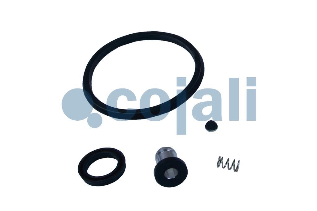 VALVE REPAIR KIT, 6012168, 9730090012