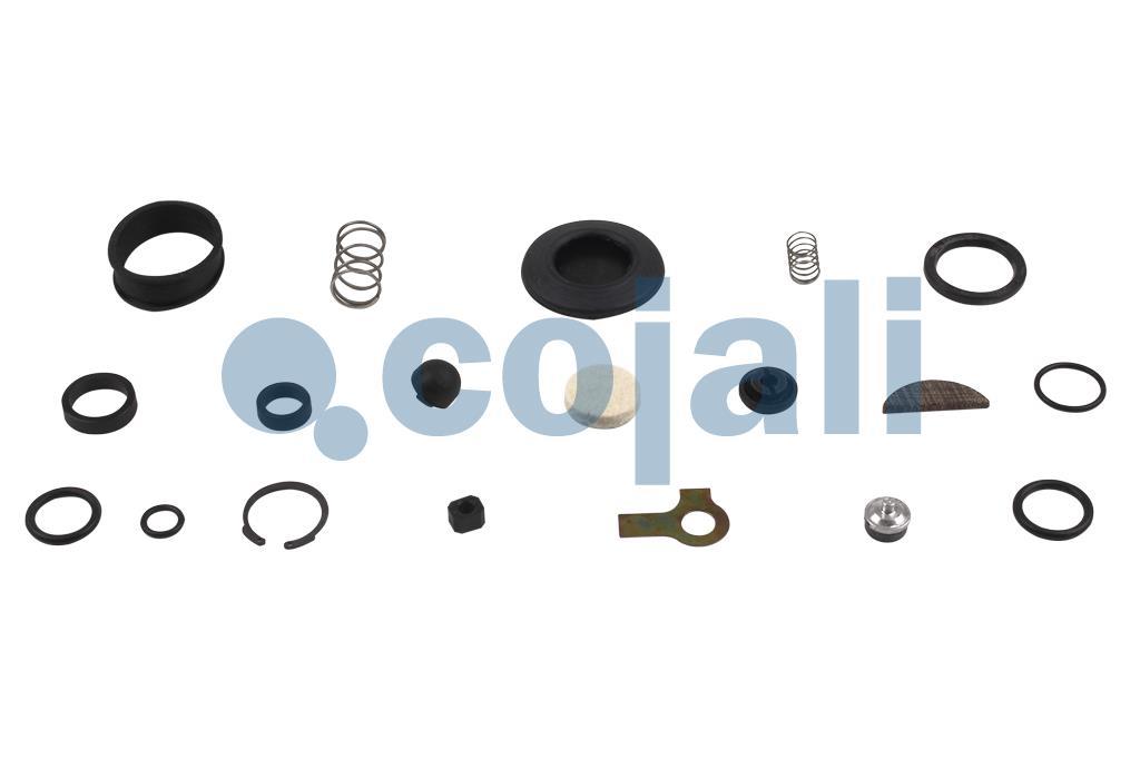 VALVE REPAIR KIT, 6012193, 4640040002