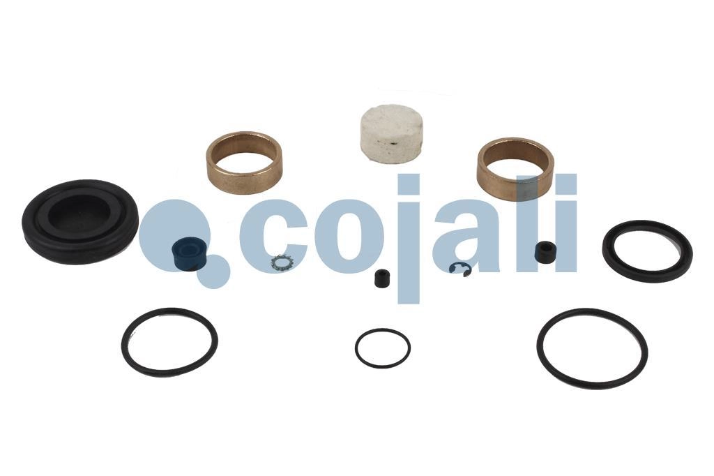 VALVE REPAIR KIT, 6012197, 4758000042