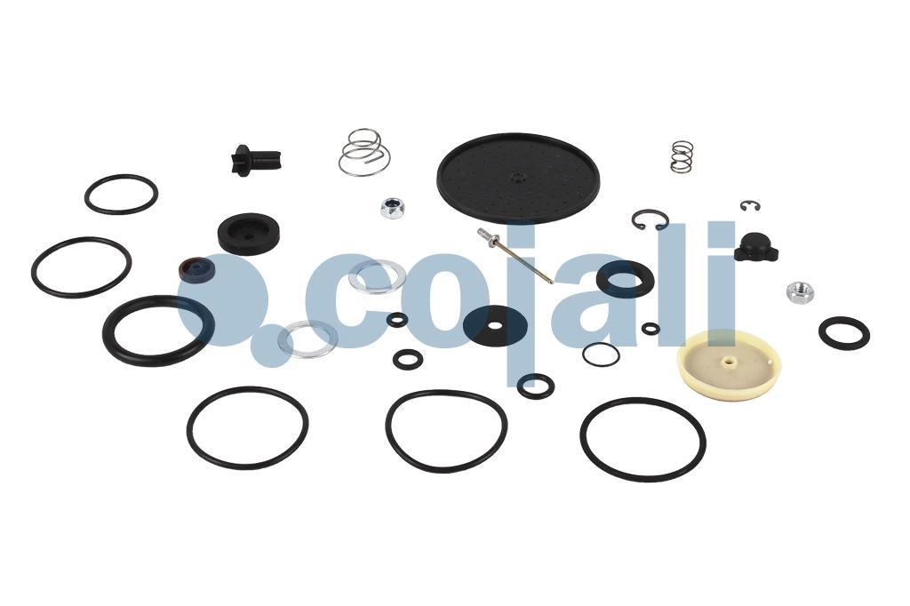 VALVE REPAIR KIT, 6012205, 432415XXX2