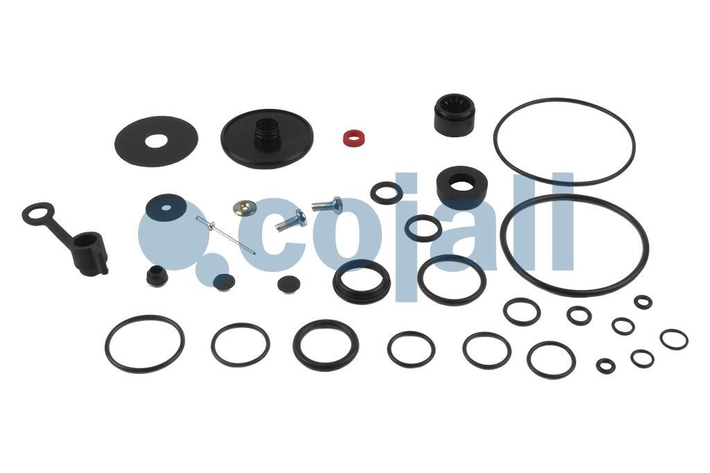 VALVE REPAIR KIT, 6012212, NO OEM