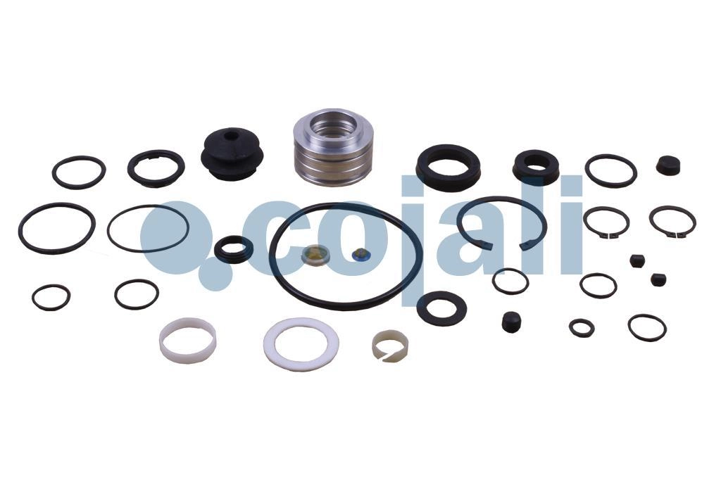 CLUTCH SERVO REPAIR KIT, 6012231, 7202160008