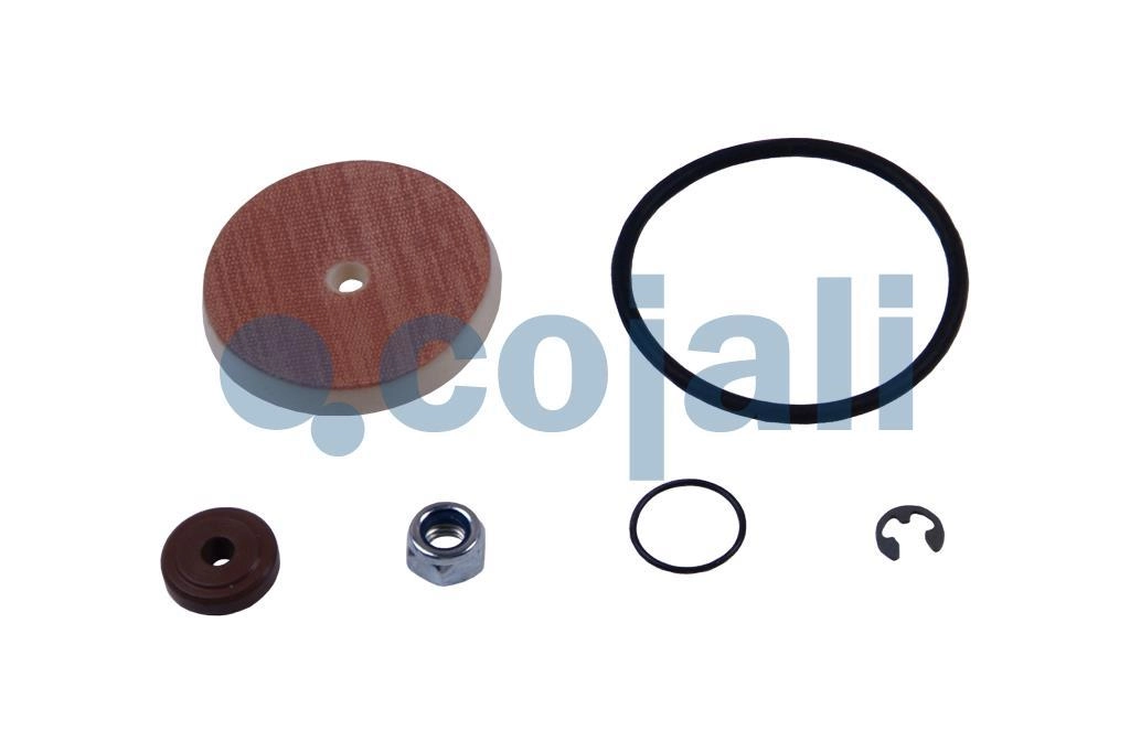 VALVE REPAIR KIT, 6012247, 4324100012