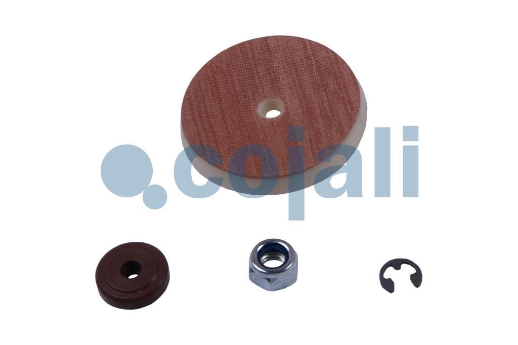 VALVE REPAIR KIT, 6012247, 4324100012