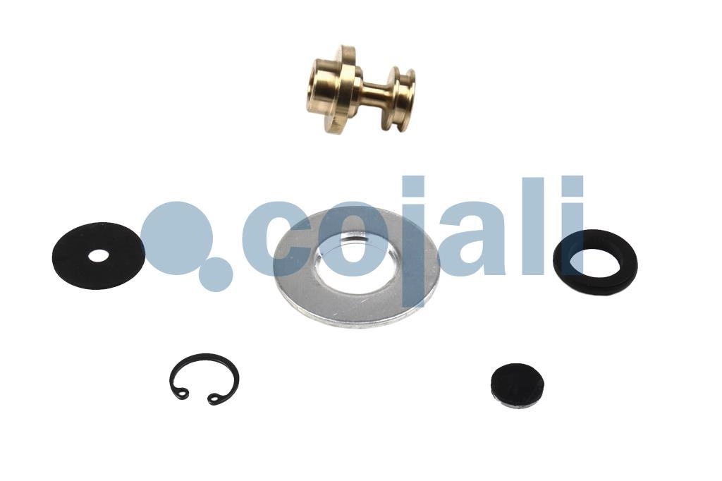 VALVE REPAIR KIT, 6012248, 9324000002