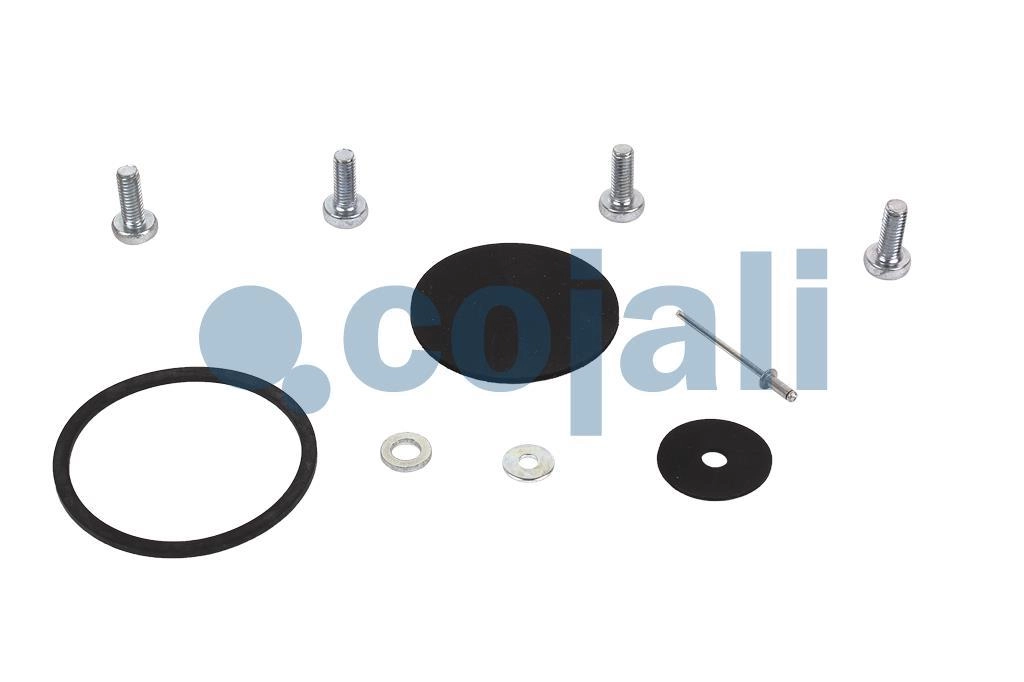 VALVE REPAIR KIT, 6012258, 9735000012