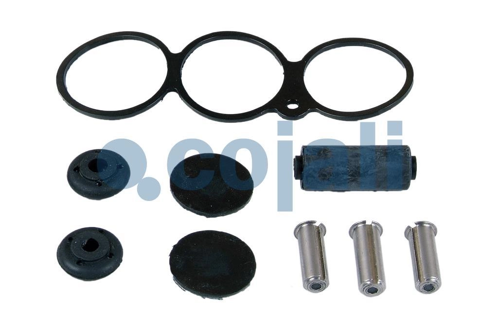 VALVE REPAIR KIT, 6012276, 4729009032