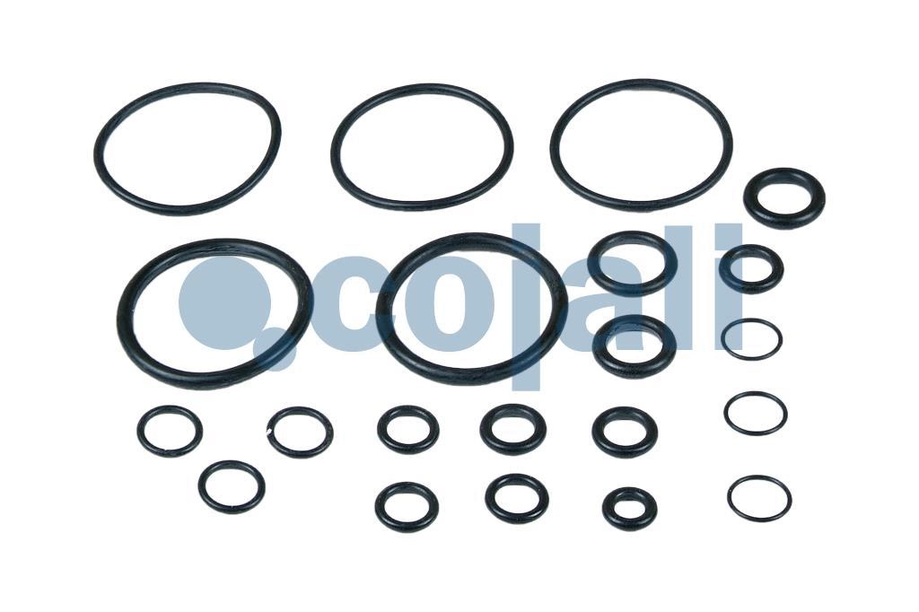 VALVE REPAIR KIT, 6012276, 4729009032