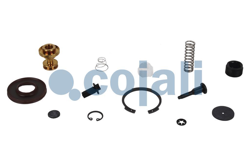 VALVE REPAIR KIT, 6012286, 9324000012