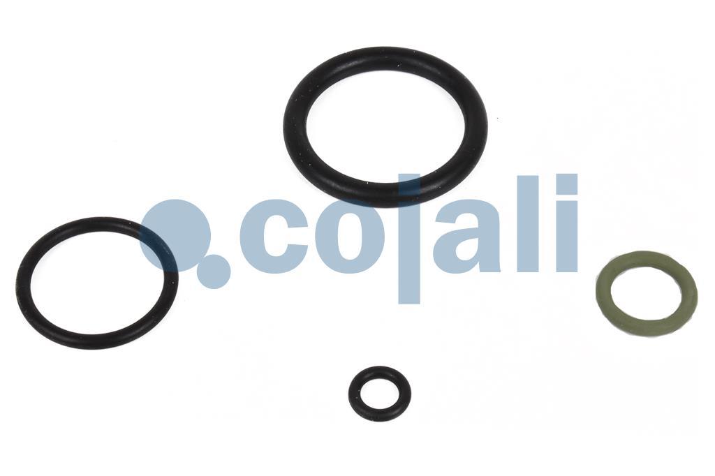 VALVE REPAIR KIT, 6012286, 9324000012