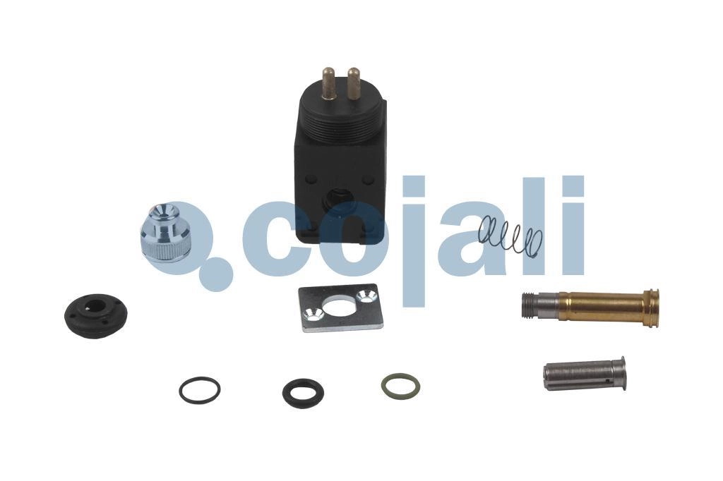 VALVE REPAIR KIT, 6012287, 4729009212