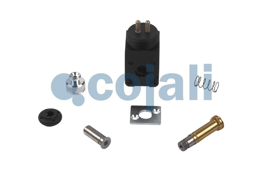 VALVE REPAIR KIT, 6012287, 4729009212