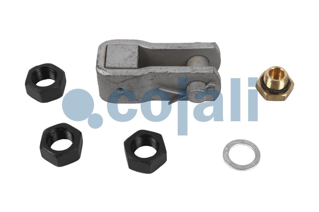 SPRING BRAKE REPAIR KIT, 6012294, 4230005342