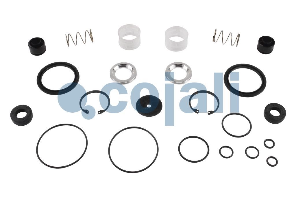 VALVE REPAIR KIT, 6012306, NO OEM