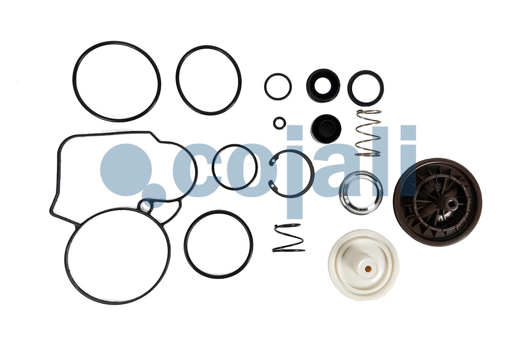 VALVE REPAIR KIT, 6012355, 4802049202