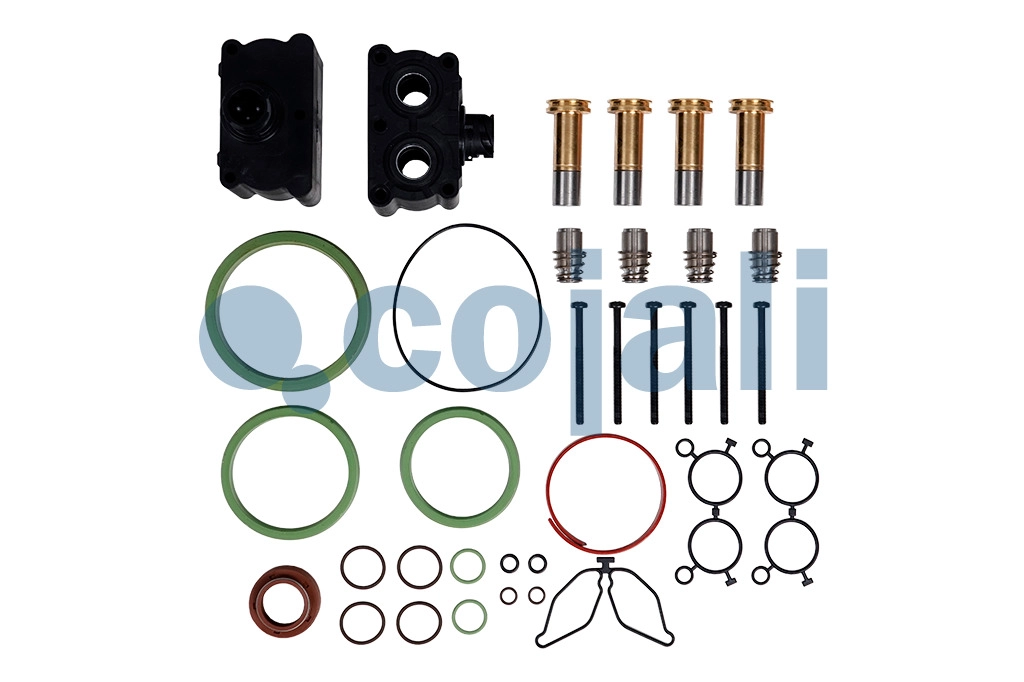 GEARBOX REPAIR KIT, 6012388, 4213500062