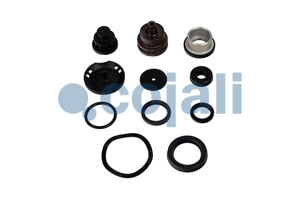 CLUTCH SERVO REPAIR KIT, 6012437, 9700519782