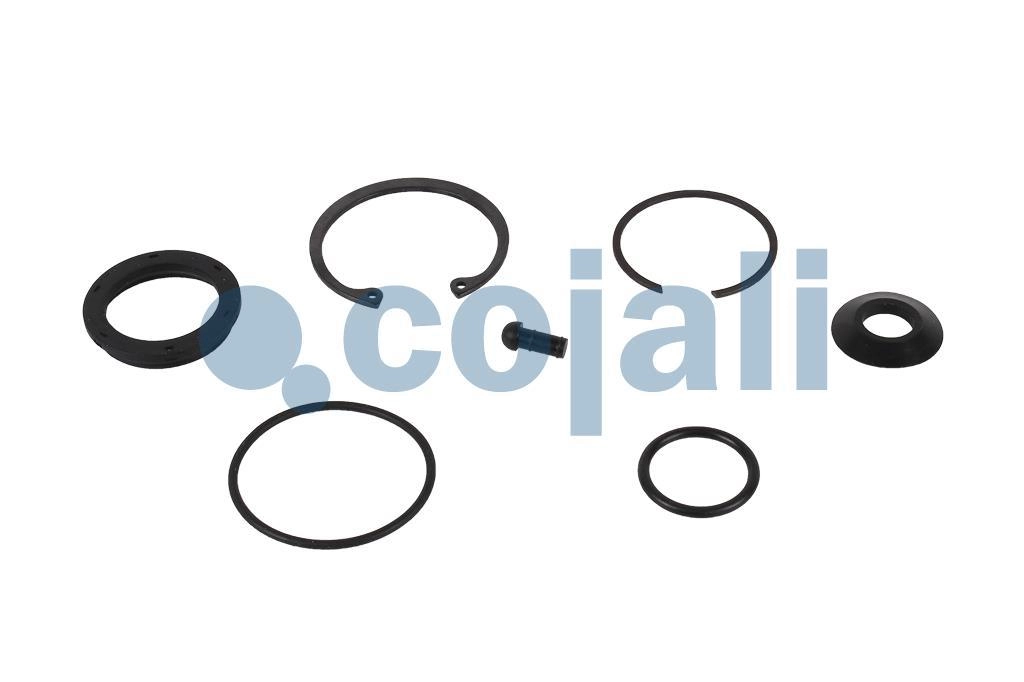 VALVE REPAIR KIT, 6014036, 1487010221