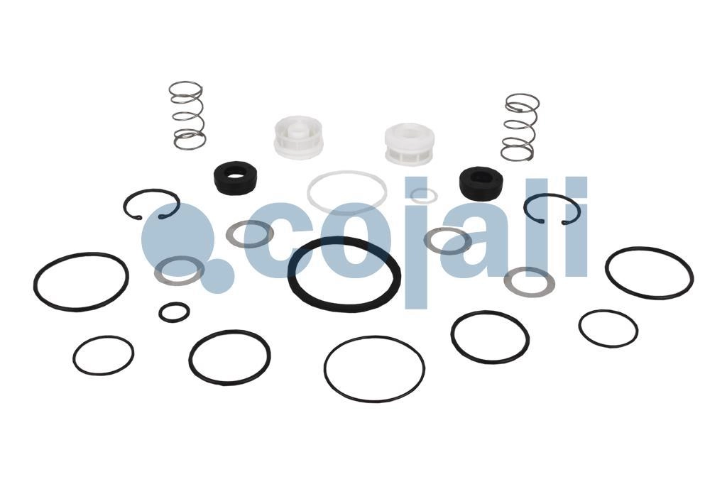 VALVE REPAIR KIT, 6014060, NO OEM