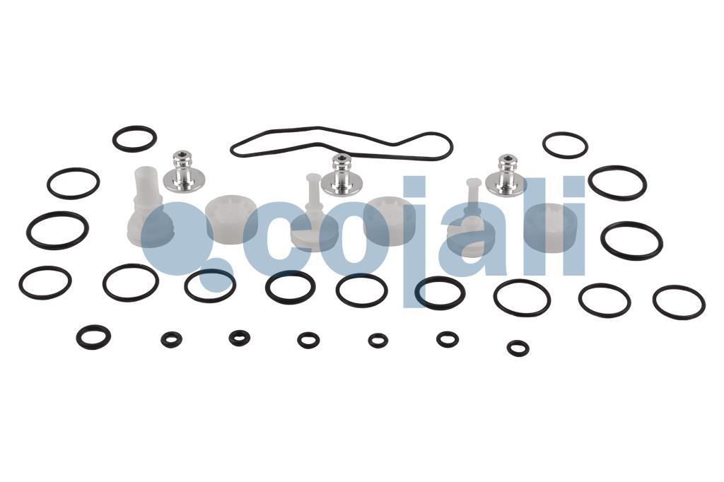 6014064 | NO OEM | VALVE REPAIR KIT - Cojali Parts