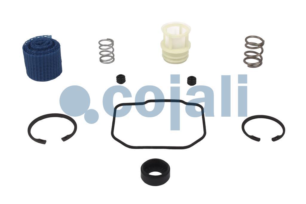 VALVE REPAIR KIT, 6014066, NO OEM