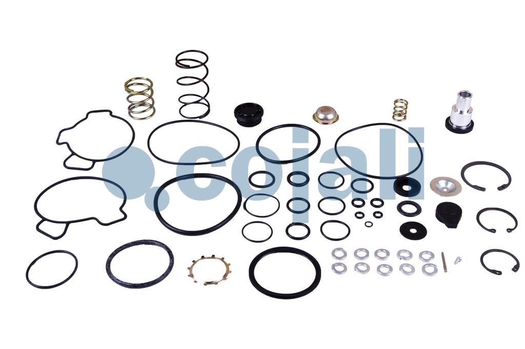 VALVE REPAIR KIT, 6014101, I829190051