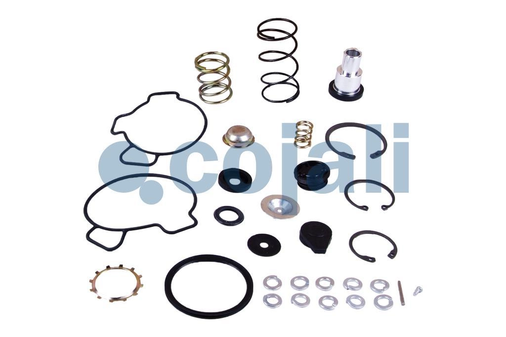 VALVE REPAIR KIT, 6014101, I829190051