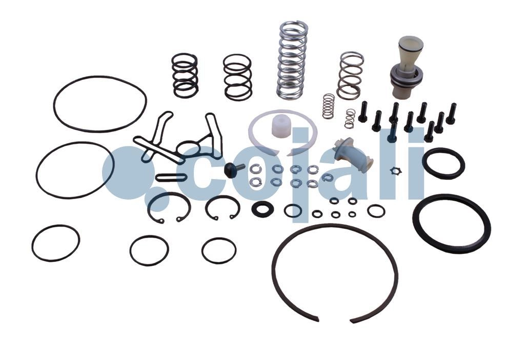 VALVE REPAIR KIT, 6014110, II37677008