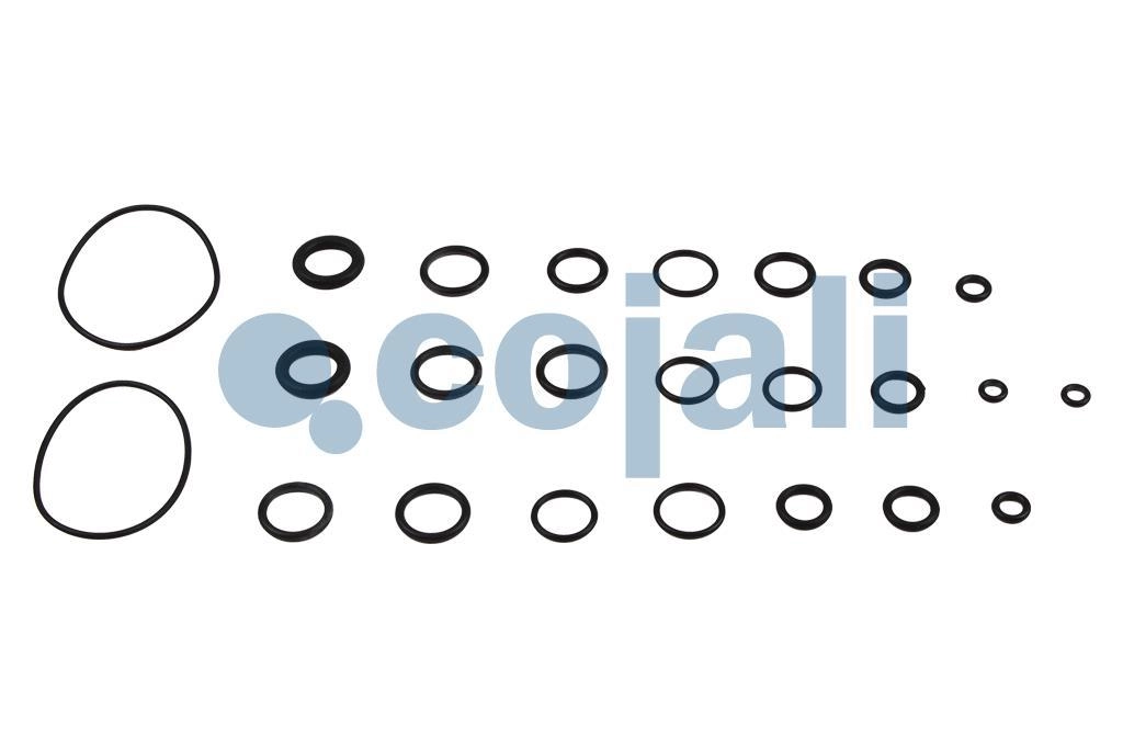 VALVE REPAIR KIT, 6014115, NO OEM