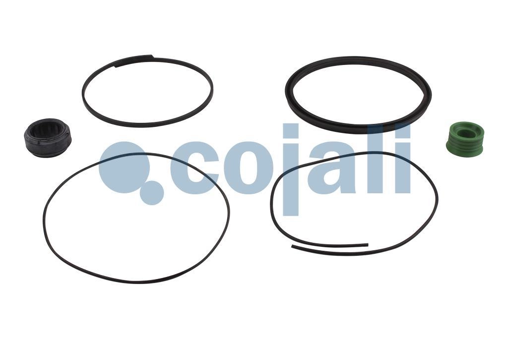 SPRING BRAKE REPAIR KIT, 6014127, I84368