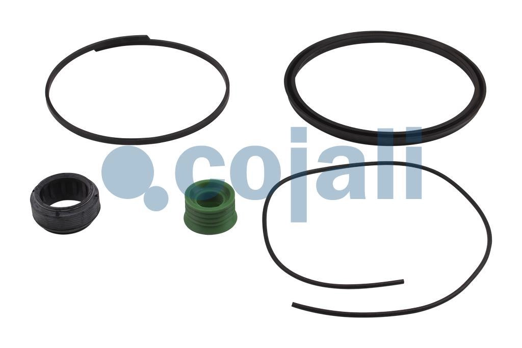 SPRING BRAKE REPAIR KIT, 6014127, I84368