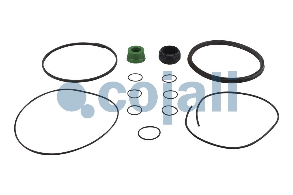 SPRING BRAKE REPAIR KIT, 6014128, I87703