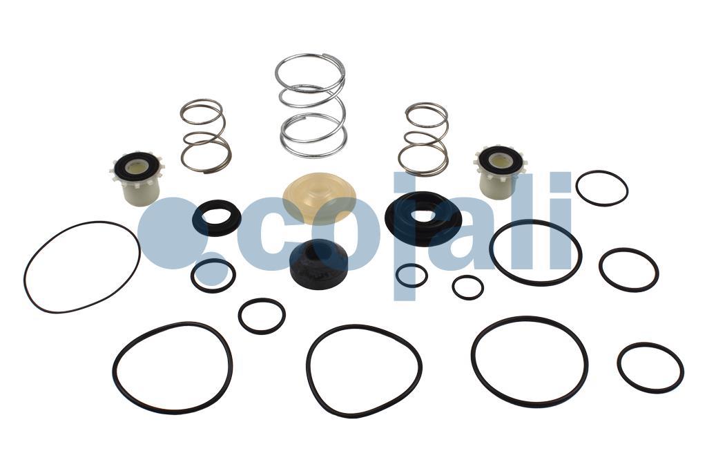 VALVE REPAIR KIT, 6014134, I80450