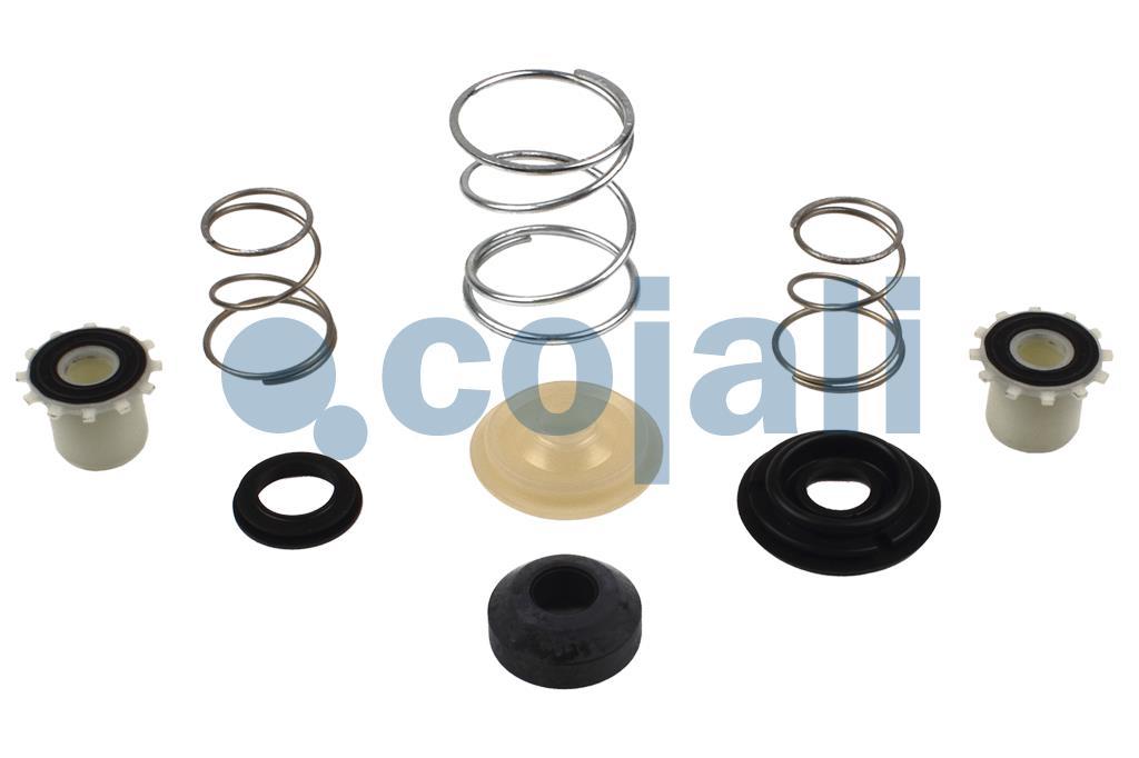 VALVE REPAIR KIT, 6014134, I80450