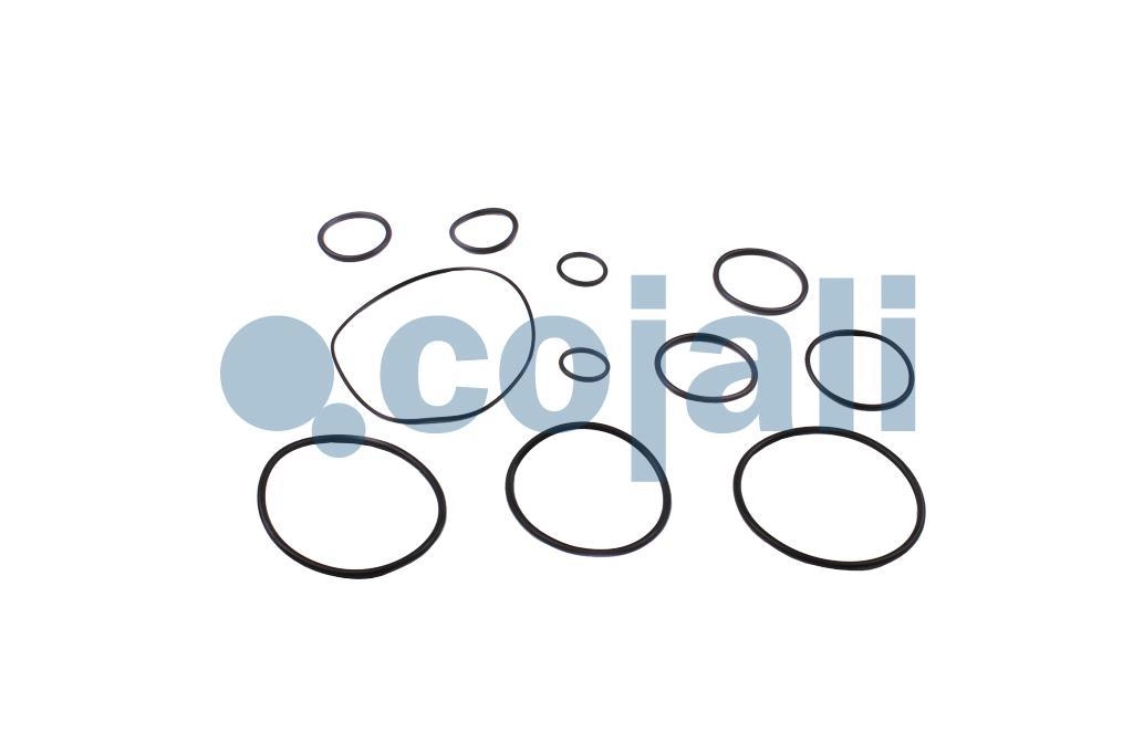 VALVE REPAIR KIT, 6014137, I92238008