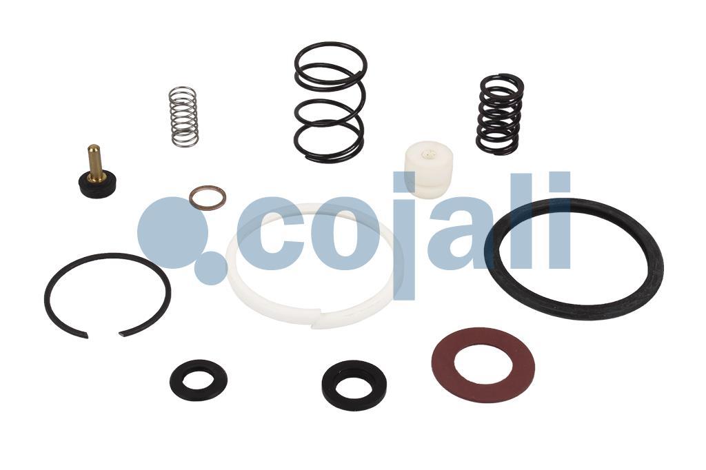 VALVE REPAIR KIT, 6014147, II36245008*X