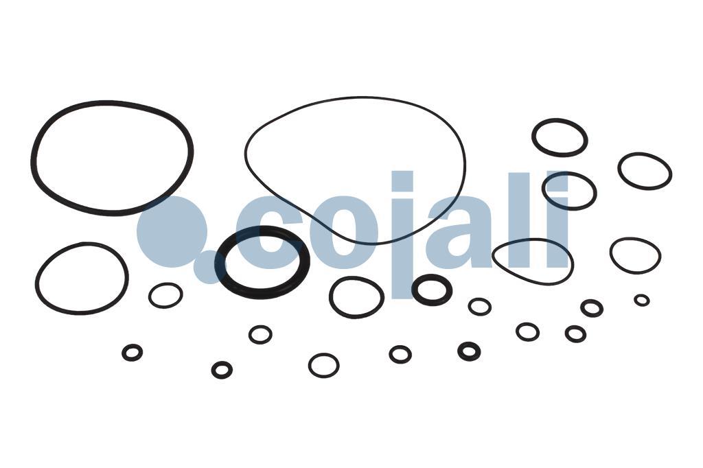 VALVE REPAIR KIT, 6014147, II36245008*X