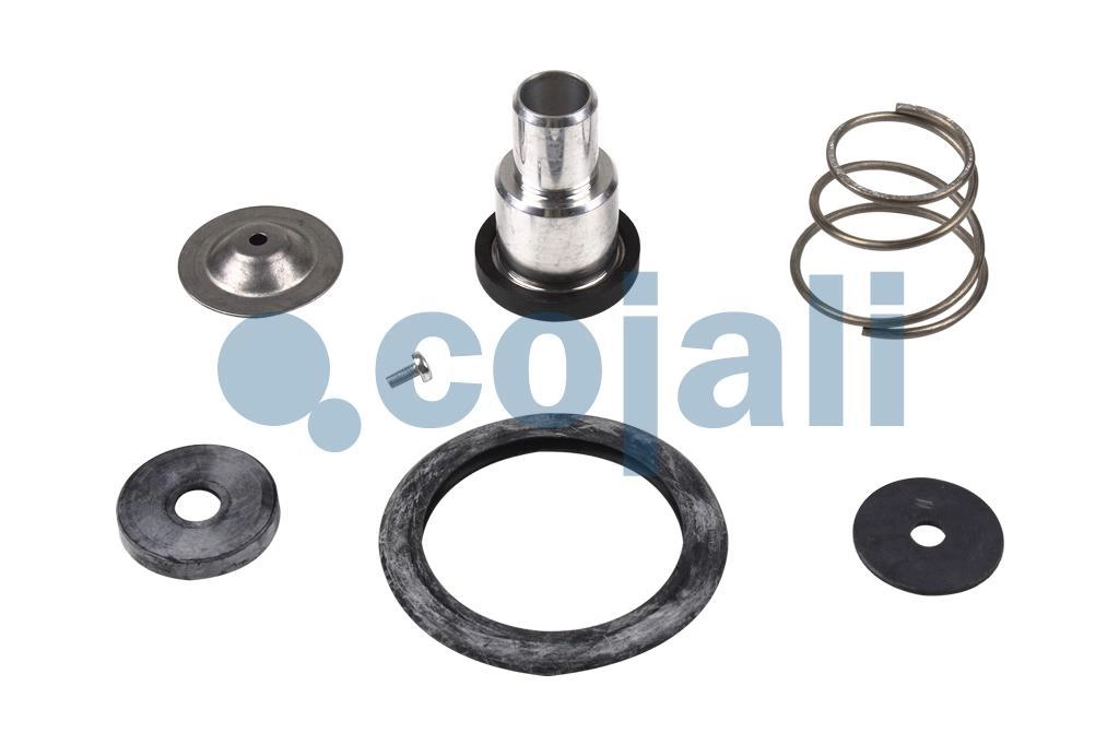 VALVE REPAIR KIT, 6014186, SEB22068