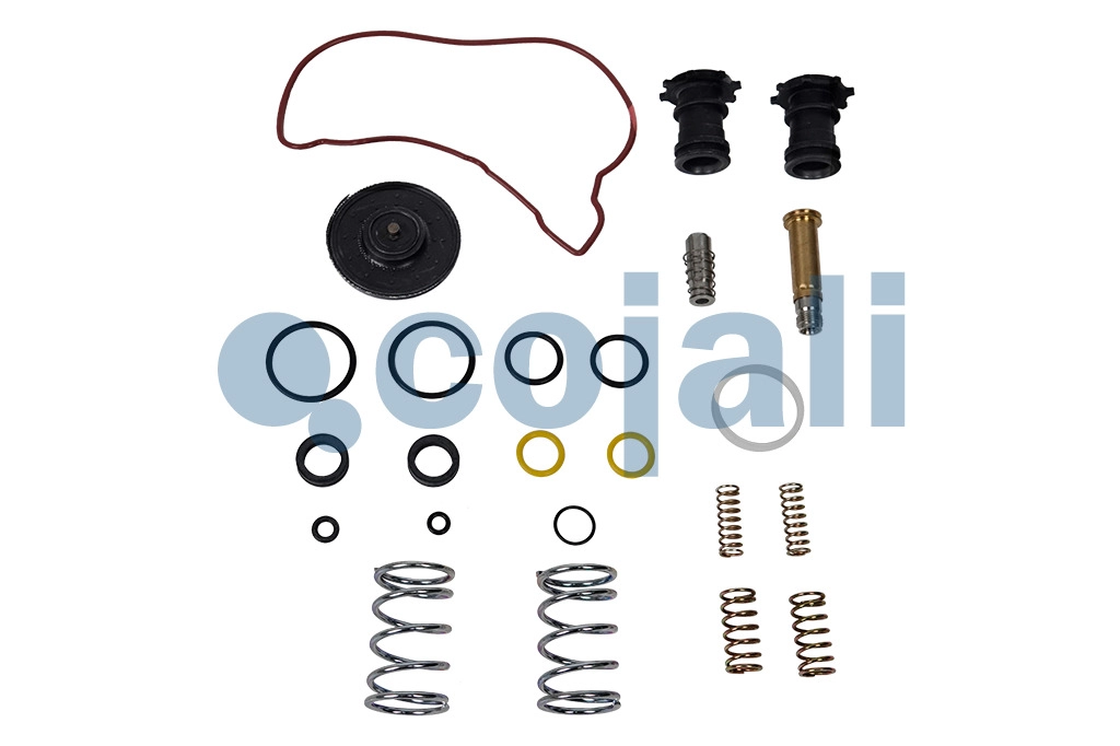 VALVE REPAIR KIT, 6014194, NO OEM