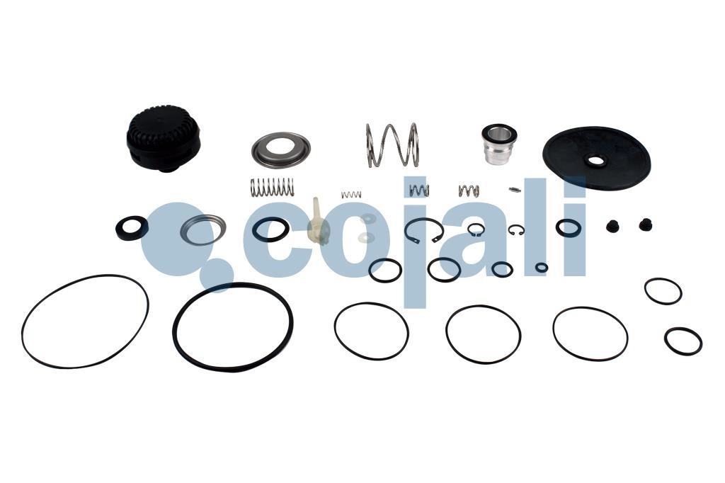 VALVE REPAIR KIT, 6014217, II36826008