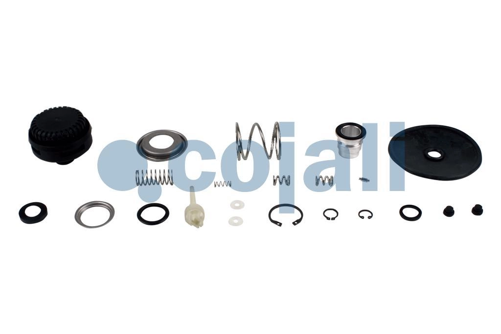 VALVE REPAIR KIT, 6014217, II36826008