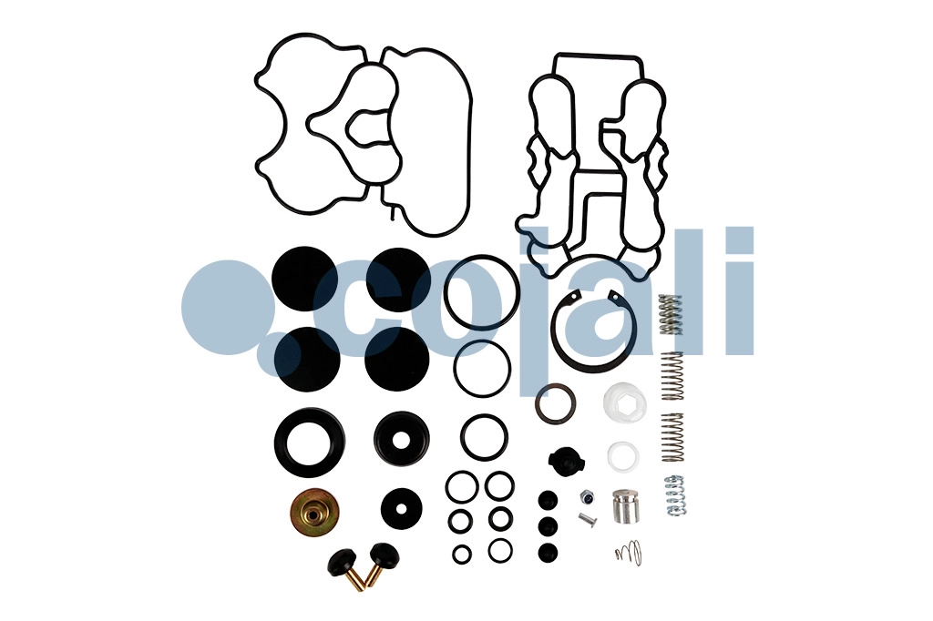 KIT DE REPARAÇÃO DE VÁLVULA, 6014233, NO OEM