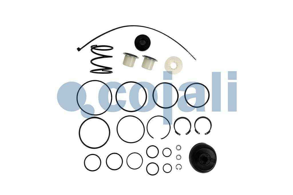 VALVE REPAIR KIT, 6014244, II36302008