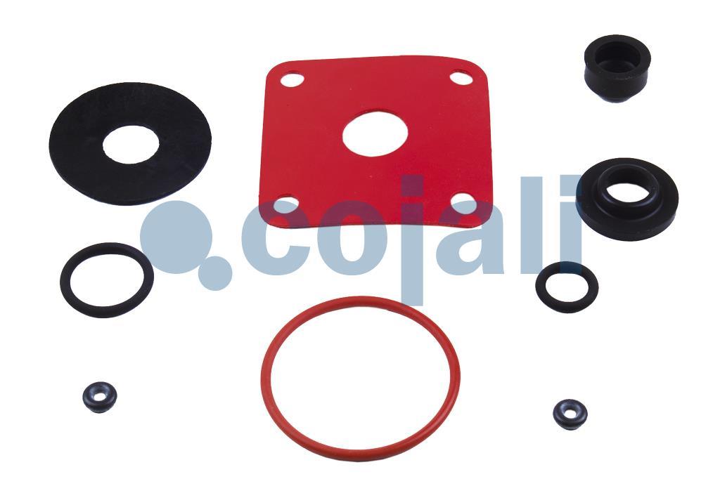 6014400 | NO OEM | VALVE REPAIR KIT - Cojali Parts