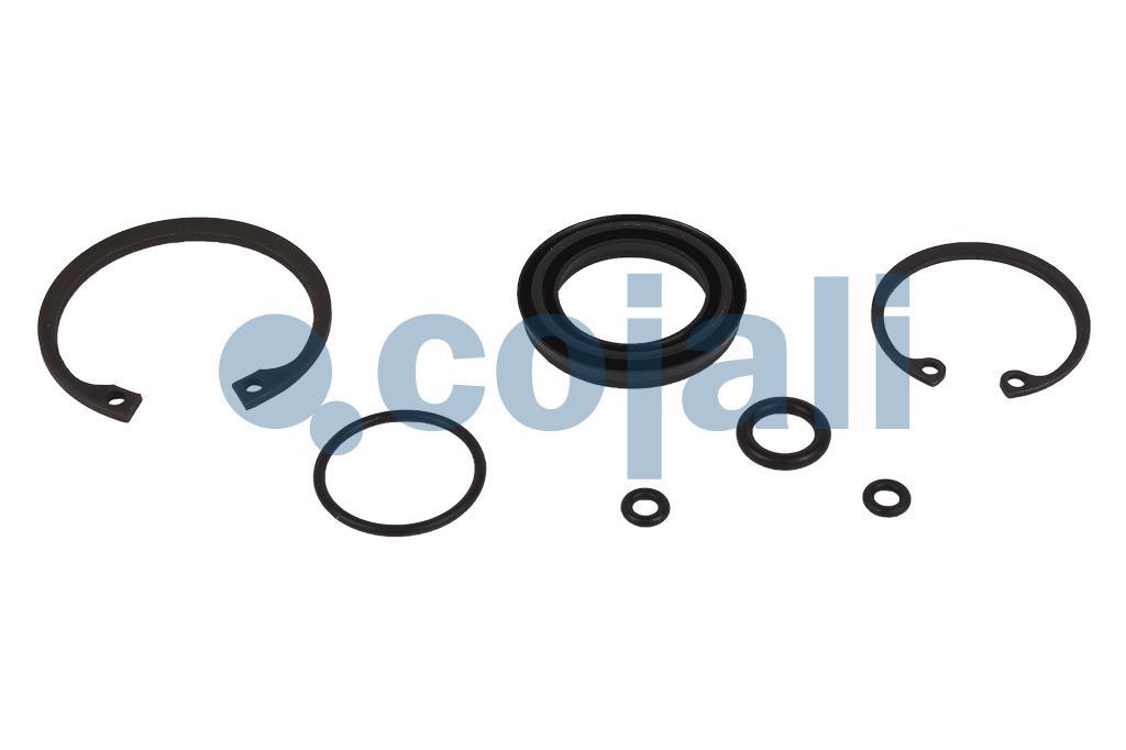 VALVE REPAIR KIT, 6014404, 076670801000